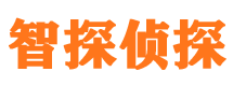 越城外遇调查取证